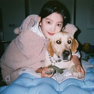 97精品在线播放
