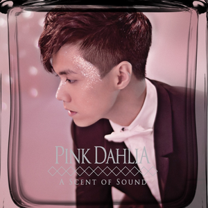 97精品在线播放
