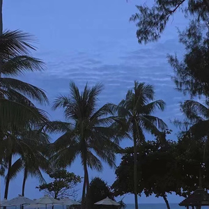 97精品在线播放
